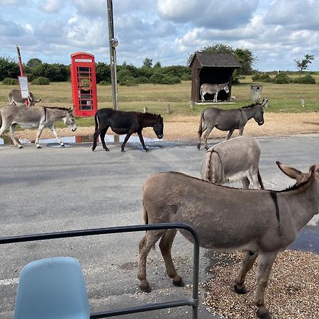 New Forest View ボーリュー エクステリア 写真