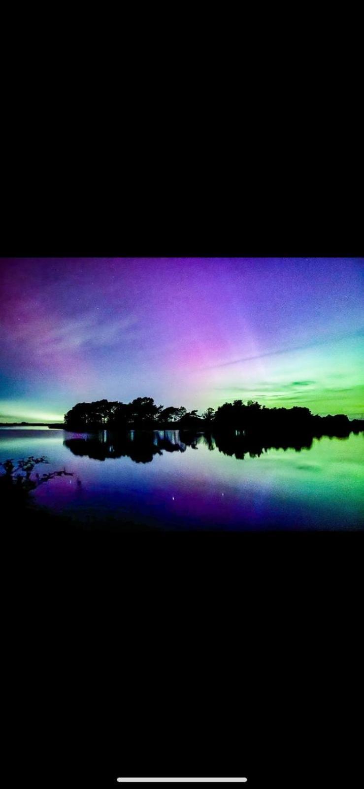 New Forest View ボーリュー エクステリア 写真